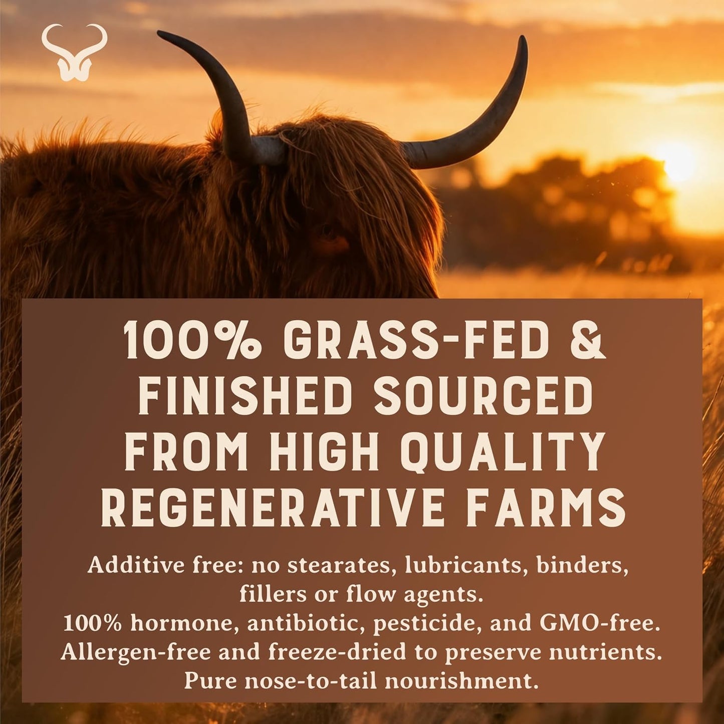 HEART & SOIL Grass Fed Bone Matrix, 180 Capsules | Supports bone and joint health, strength, and flexibility.