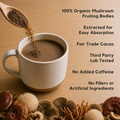 Malama Organic Mushroom Hot Cacao Mix, Lion's Mane Mushroom Powder with Fair Trade Cacao for Focus, Memory, & Immune Support – Vegan Superfood, Non GMO, 3.5 oz (50 Servings)