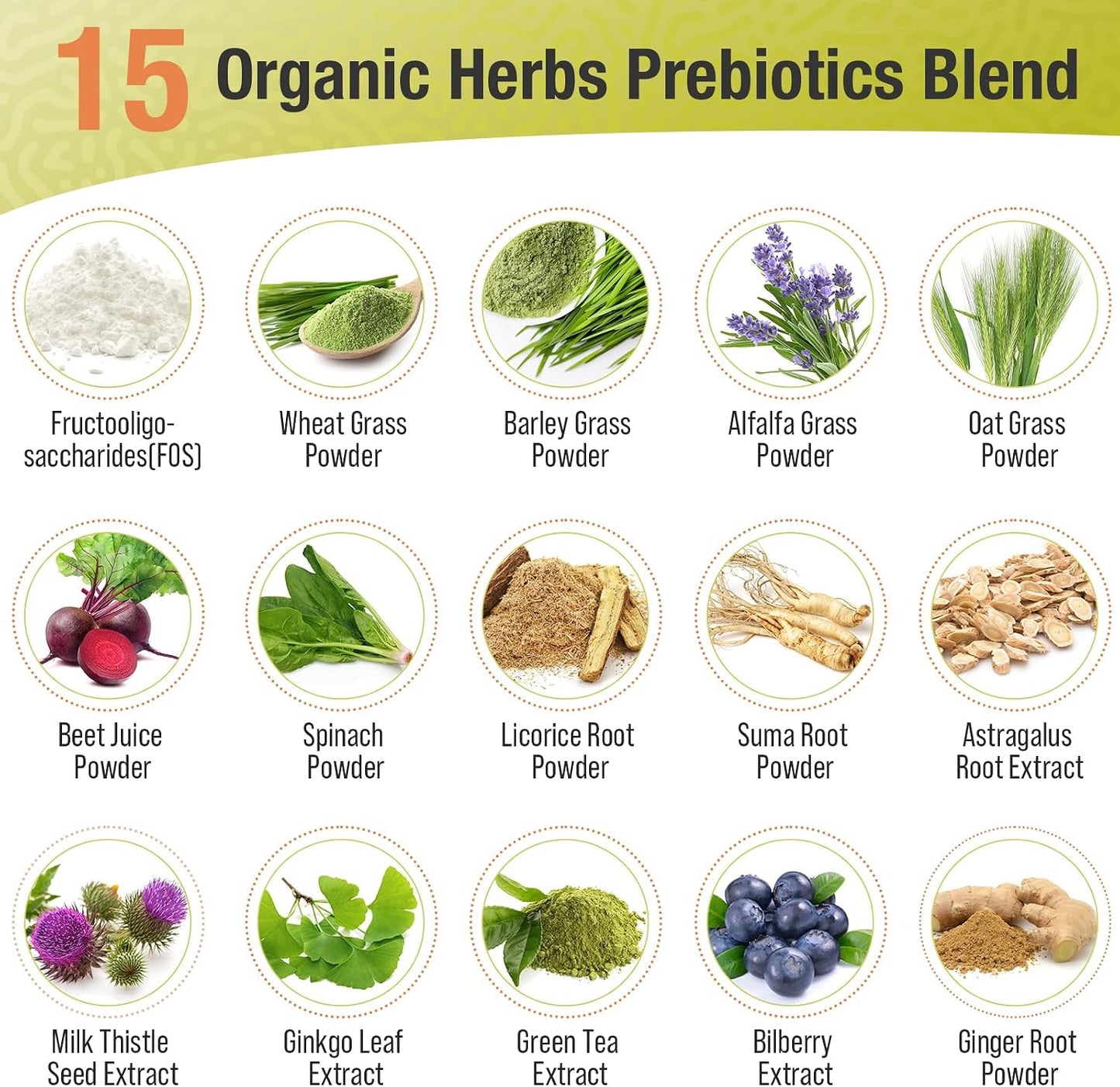 Prebiotics and Probiotics - 300 Billion CFU, 24 Probiotic+15 Herbs, 60 Caps | Probiotics for gut health, Immune & Digestive, Bloating - Probiotics for Women & Men