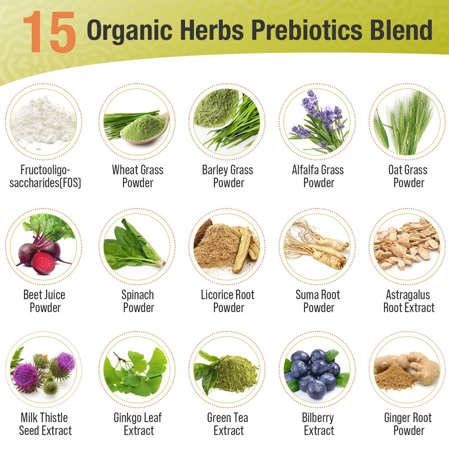 Prebiotics and Probiotics - 300 Billion CFU, 24 Probiotic+15 Herbs, 60 Caps | Probiotics for gut health, Immune & Digestive, Bloating - Probiotics for Women & Men