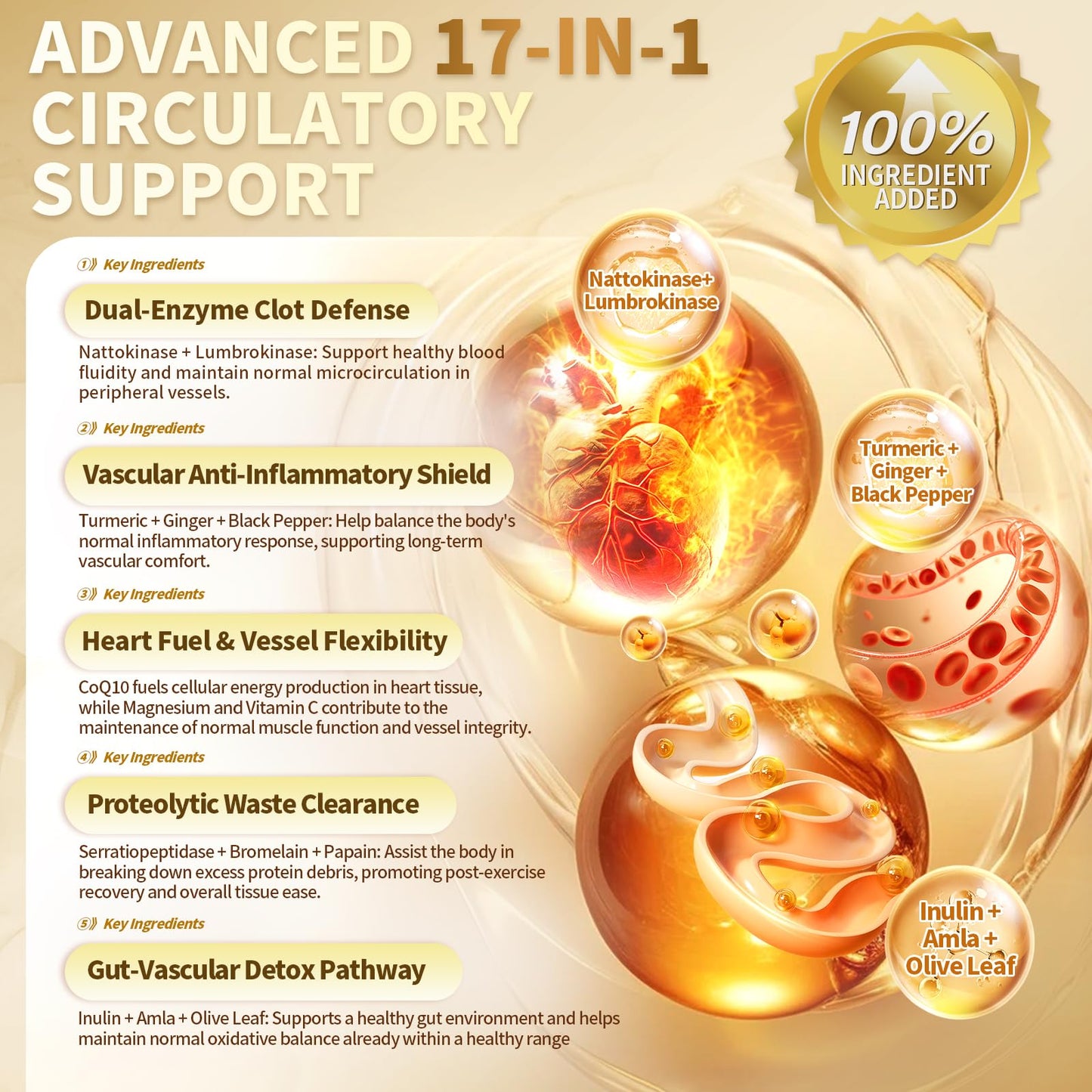 VivoNu Nattokinase 300 Softgels, 500mg(10,000 FU) Per Serving | 17-in-1 Organic Nattokinase Supplement with Serrapeptase*,Lumbrokinase*,CoQ10,AMLA&Turmeric|for Heart* Health|Non-GMO