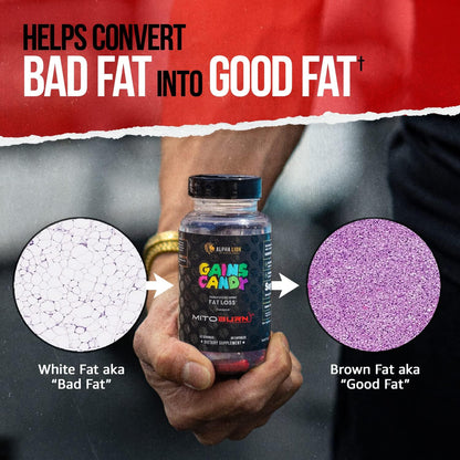 ALPHA LION Gains Candy, Supplement Pills that Support Weight Loss, Appetite Suppressant, Keto-Diet Friendly, Decrease Body Fat, Upgrade Energy & Workout Performance, 60 Capsules (MitoBurn®)