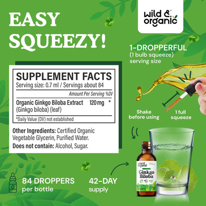 Wild & Organic Ginkgo Biloba Extract Drops - Brain & Focus Support - Liquid Ginkgo Biloba Supplements - Vegan, Sugar & Alcohol-Free Herbal Tincture - 4 fl oz