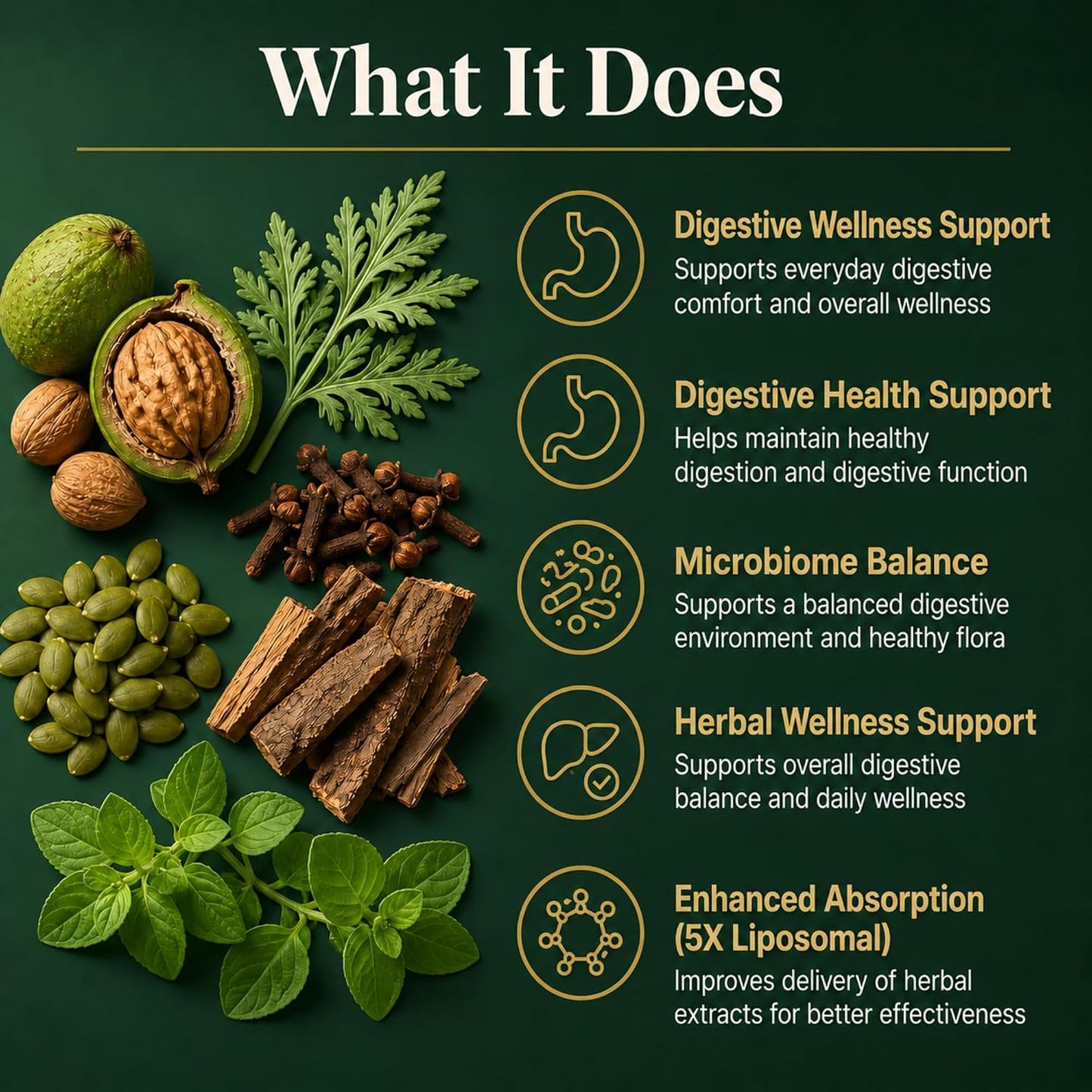 Liposomal Herbal Liquid Drops 2 fl oz., Black Walnut Wormwood Clove Oregano Pumpkin Seed Papaya PAU D’Arco, Plant Based Daily Supplement, Clean Formula