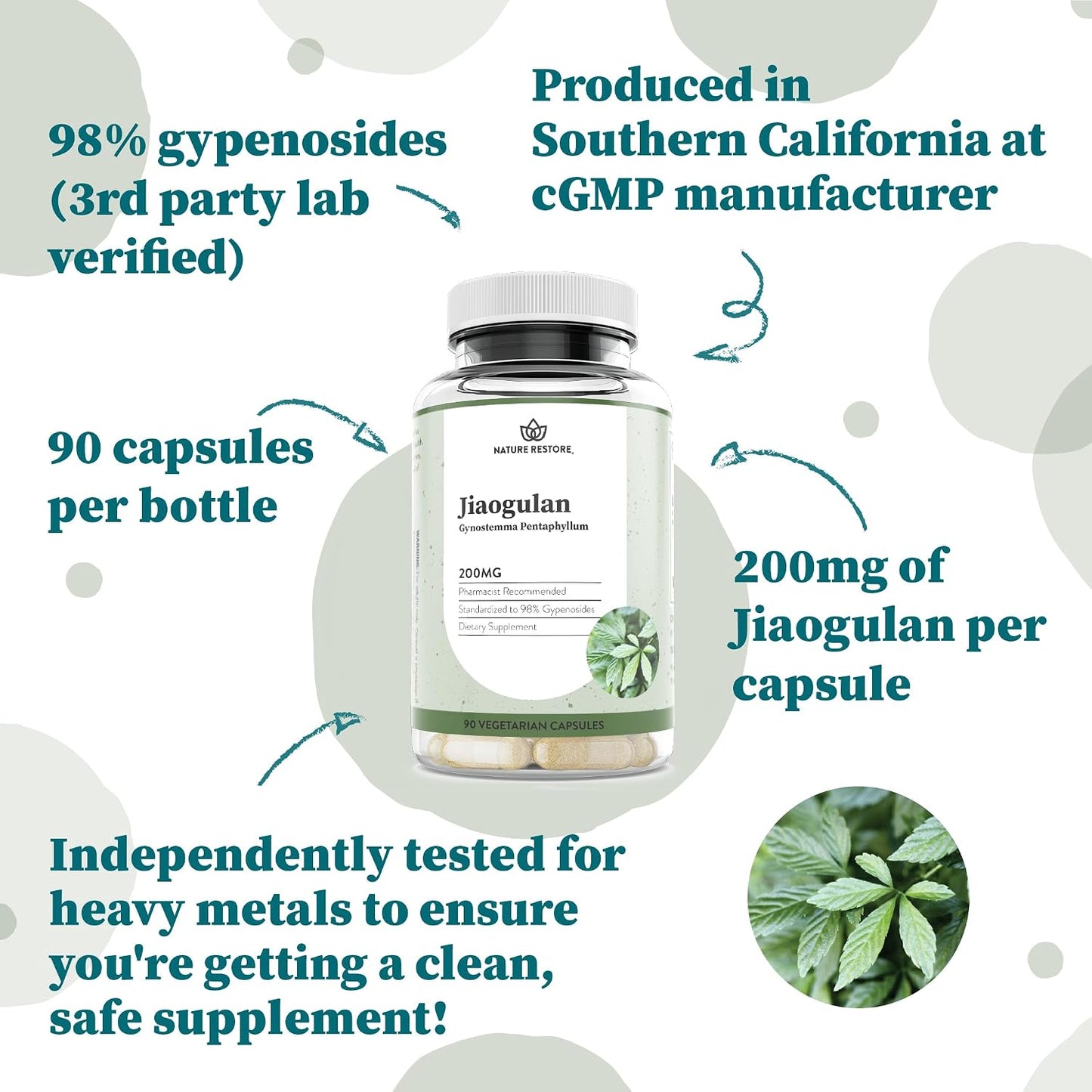 Jiaogulan Extract Supplement, Highest Strength, 98 Percent Gypenosides, Natural AMPK Activator, Non GMO, Gluten Free, 90 Gynostemma Pentaphyllum Capsules, Vegan