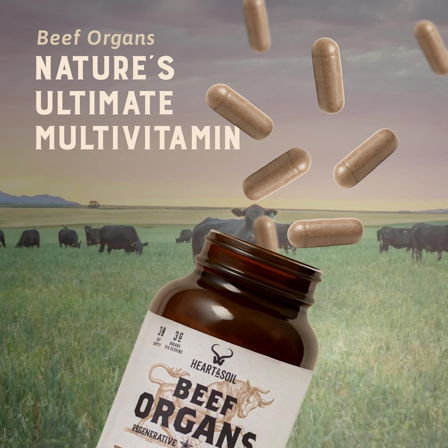 HEART & SOIL Beef Organs Supplement, 180 Capsules | 100% grass fed & finished from regenerative cattle with liver, heart, kidney, pancreas & spleen. 3000mg formula.