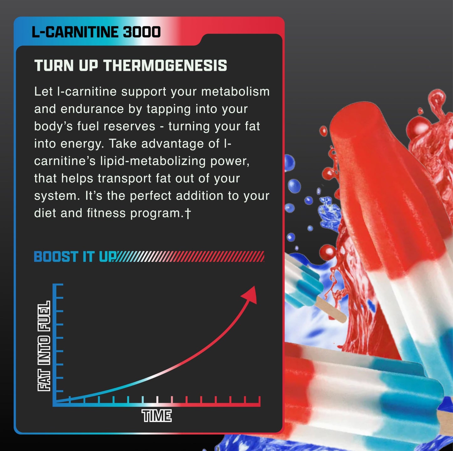Nutrex Research L Carnitine 3000 - Clinically Dosed L-Carnitine Liquid for Energy, Metabolism & Muscle Recovery - Delicious Strawberry Watermelon - No Sugar, No Carbs, No Stimulants - 31 Servings