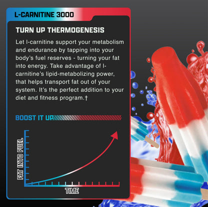 Nutrex Research L Carnitine 3000 - Clinically Dosed L-Carnitine Liquid for Energy, Metabolism & Muscle Recovery - Delicious Strawberry Watermelon - No Sugar, No Carbs, No Stimulants - 31 Servings
