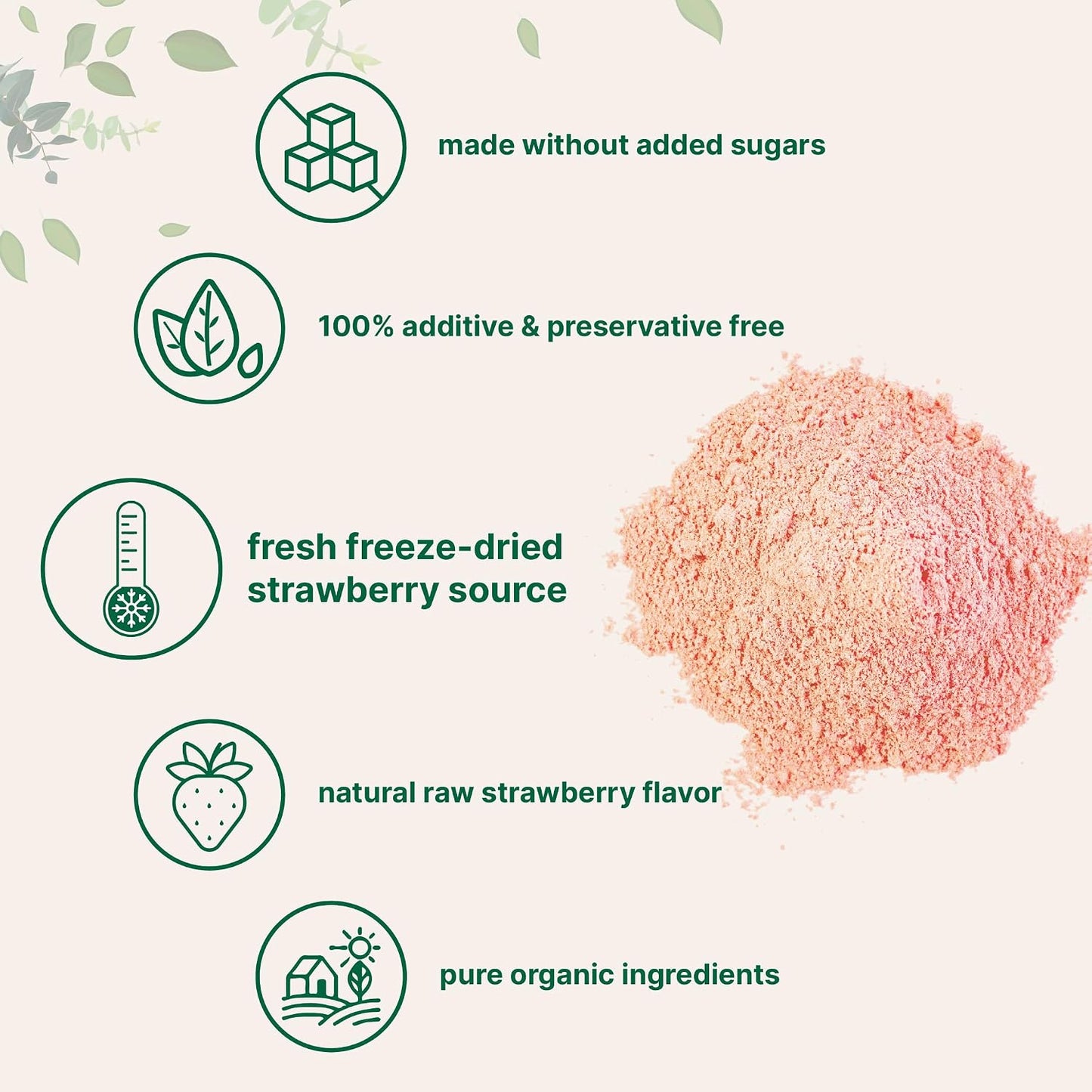 Organic Strawberry Powder, 1 Lb | 100% Natural Fruit Powder | Freeze-Dried Strawberries Source | No Sugar & Additives | Great Flavor for Drinks, Smoothie, & Beverages | Non-GMO & Vegan Friendly
