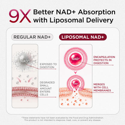 NAD+ Supplement for Women - NMN Alternative with β-NAD+, Trans-Resveratrol, CoQ10, D-Ribose - Promotes Cellular Renewal, Energy, and Radiant Skin Health - 60 Capsules Advanced