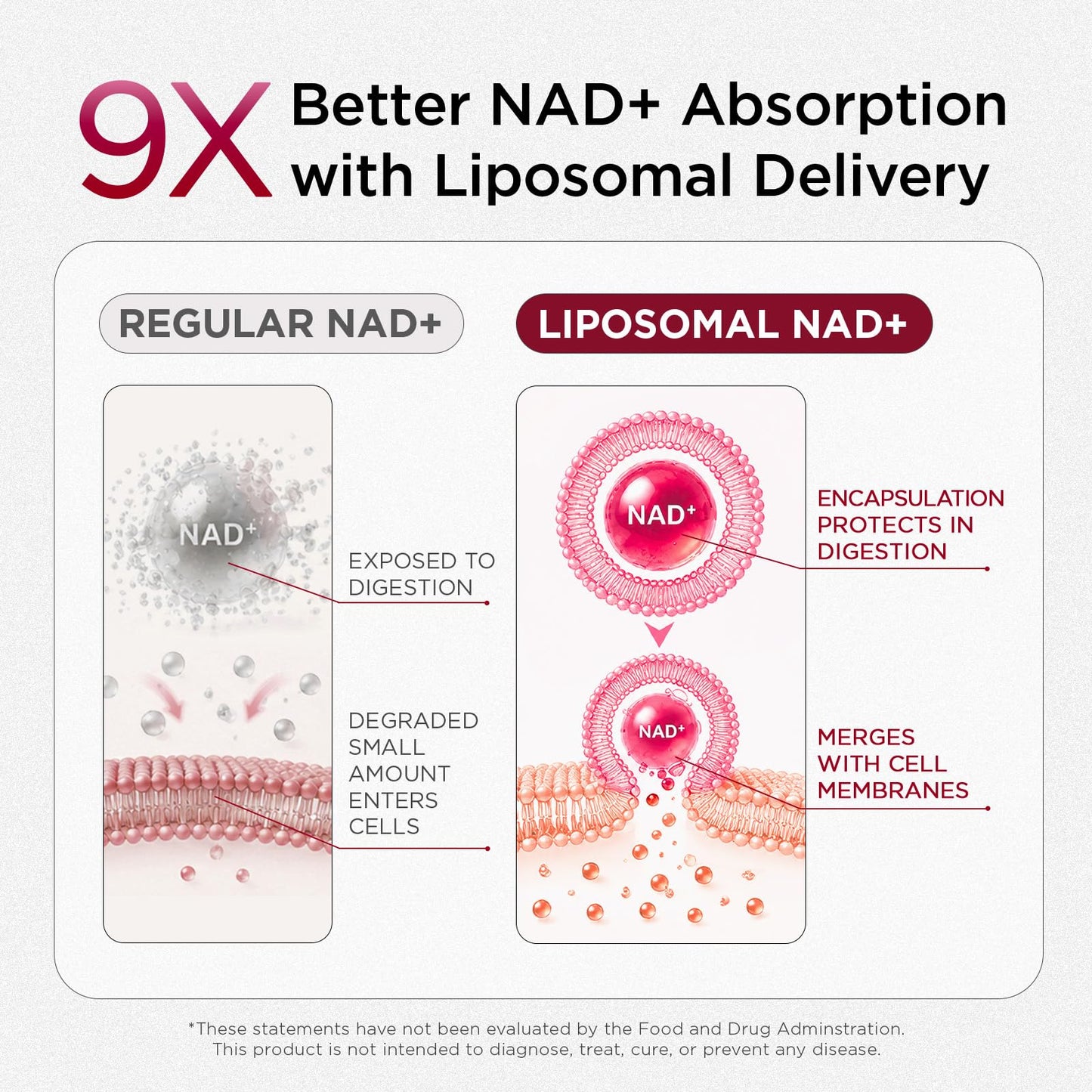 NAD+ Supplement for Women - NMN Alternative with β-NAD+, Trans-Resveratrol, CoQ10, D-Ribose - Promotes Cellular Renewal, Energy, and Radiant Skin Health - 60 Capsules Advanced