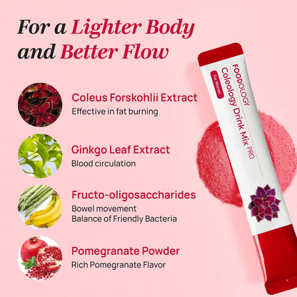 FOODOLOGY Coleology Drink Mix PRO | 3,000mg Prebiotic Fiber & Metabolism Support | Daily Pomegranate Stick Powder for Gut Health & Weight Management | 15 Sticks
