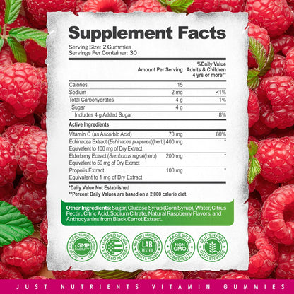 Elderberry 200mg Gummies with Vitamin C, Echinacea, Propolis (100 count) | Immune Support for Adults & Kids - Maximum Strength, Great Tasting Raspberry Flavor - Gluten-Free, Vegan