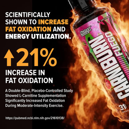 Nutrex Research Carniburn Liquid L Carnitine 3000mg – Thermogenic Liquid Fat Burner for Men & Women with MitoBurn, InnoSlim, GBBGO - Stimulant Free Metabolism Booster - Strawberry Watermelon 31 SV