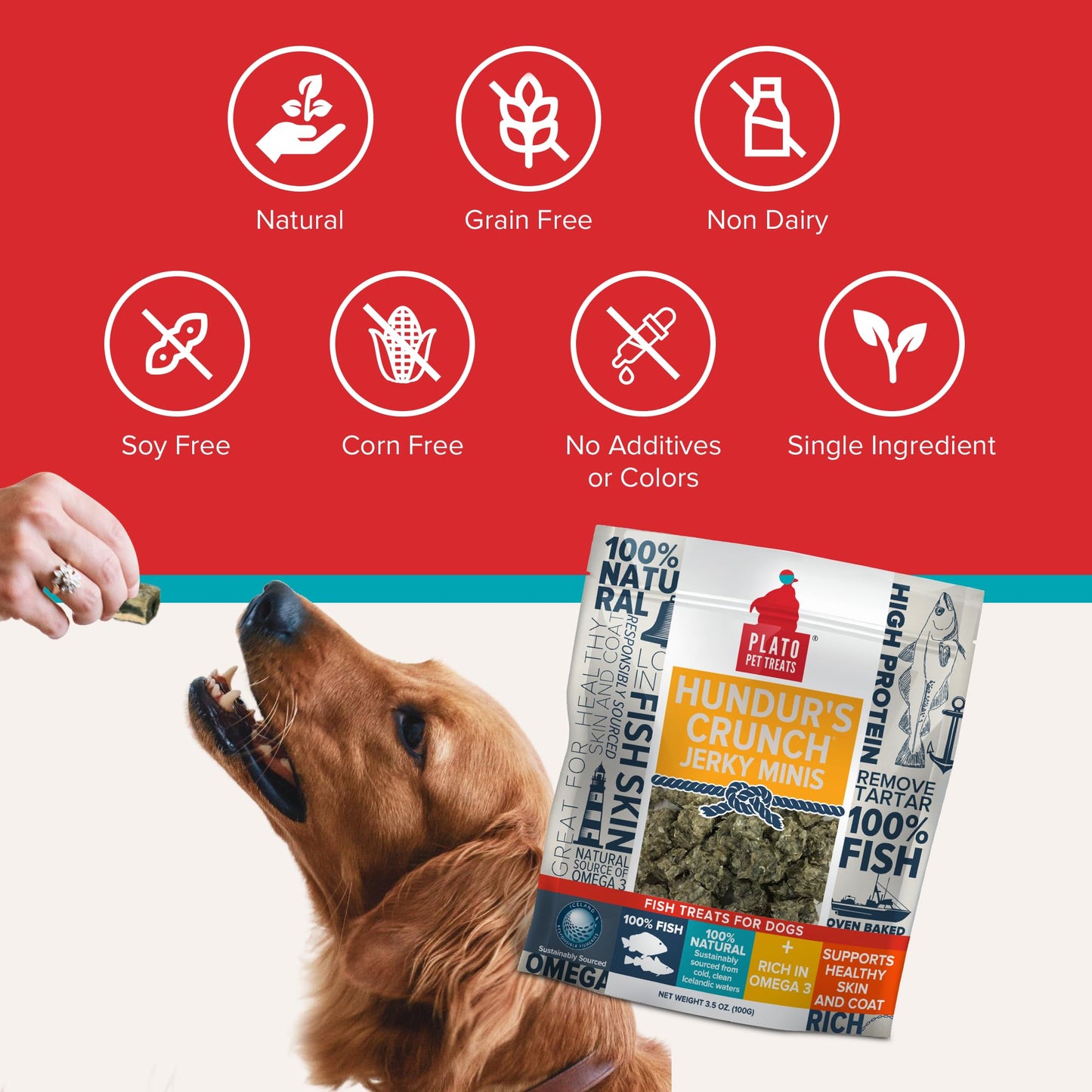 Plato Single Ingredient Wild-Caught Cod Skin Bites Dog Treats, Air-Dried Omega-Rich Skin & Coat Support, 10 oz