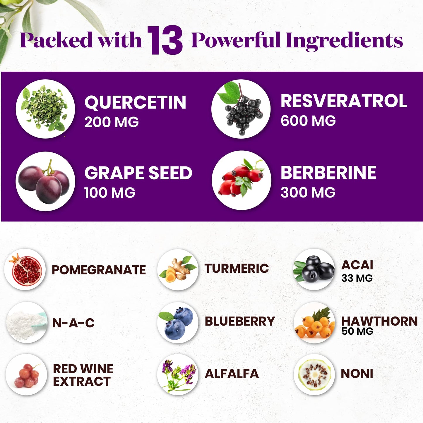 Resveratrol Berberine Grape Seed Extract Quercetin - Polyphenol Supplement with Noni Extract, N-Acetyl Cysteine, Acai Extract - Made in The USA - 120 Capsules