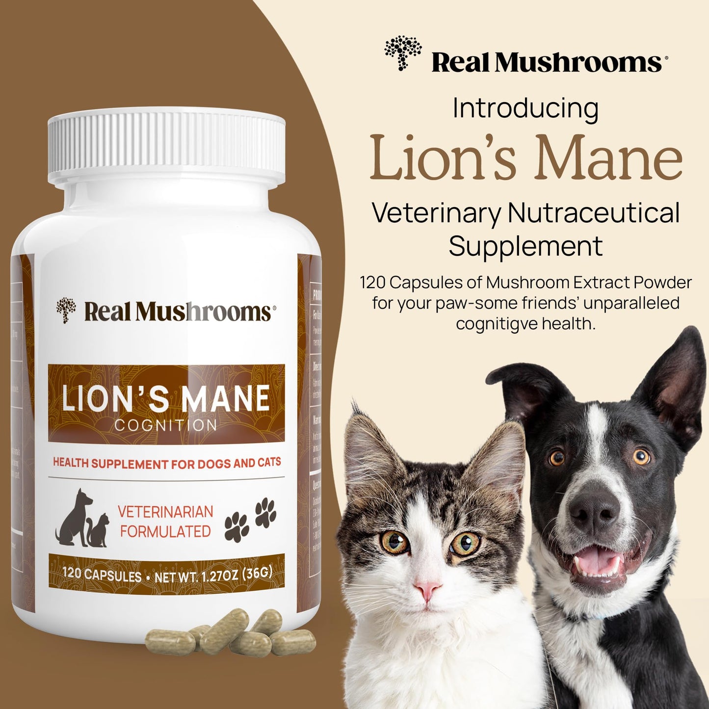 Real Mushrooms Lion’s Mane Pet Mushroom Supplement – Pet Wellbeing Capsules – for Cat & Dog Supplement & Vitamins – Support Mindful Routines – Organic, Vegan, Non-GMO, 120 Count