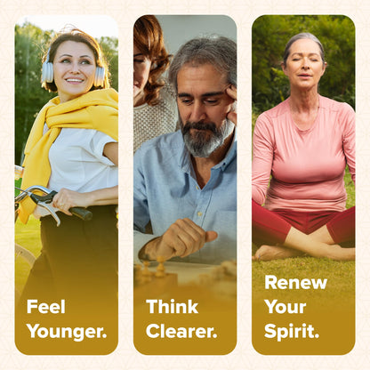 Genesis Revival - Shilajit, Lion's Mane & 8 Sacred Botanicals | Nourish the Pineal Gland for Energy, Mental Clarity, Graceful Aging & a Return to Your Eden State, 60 Count