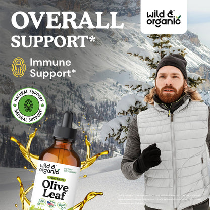 Wild & Organic Olive Leaf Extract Liquid Drops - Immune & Antioxidant Support - Oleuropein Supplement - Add to Tea Olive Leaf Tincture - Vegan, Sugar & Alcohol Free - 4 fl oz
