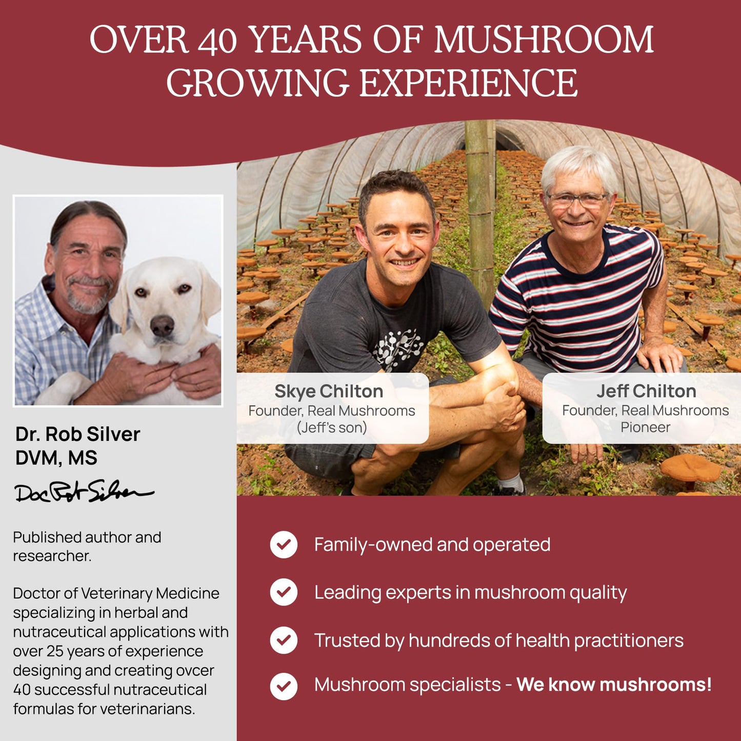 Real Mushroom Immune Pet Chews – For Daily Digestive & Immune Health – Mushrooms for Dogs & Cats Functional Treat – Mushroom Supplement for Dogs & Cats – 1 to 4 Chews For All Breeds & Sizes (60 Count)