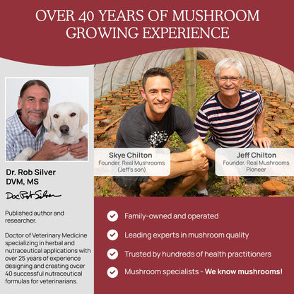 Real Mushroom Immune Pet Chews – For Daily Digestive & Immune Health – Mushrooms for Dogs & Cats Functional Treat – Mushroom Supplement for Dogs & Cats – 1 to 4 Chews For All Breeds & Sizes (60 Count)