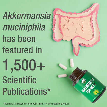 Peak Performance Akkermansia Probiotic to Increase GLP-1 Production - Ultra High Strength Akkermansia Muciniphila Live Strain with Prebiotic Fiber for Gut Health - Delayed Release, 3rd Party Tested