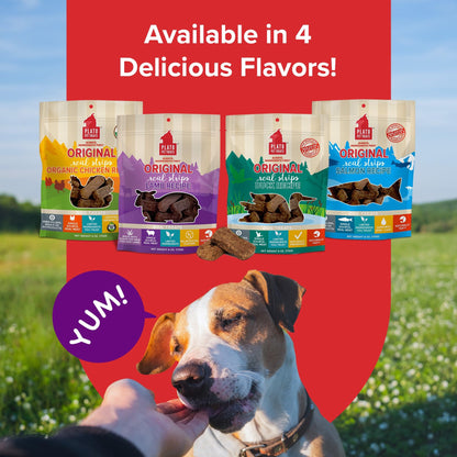 Plato Real Strips Salmon Recipe Dog Treats, Air-Dried High-Protein Soft Strips, Omega-Rich Skin & Coat Support, 18 oz