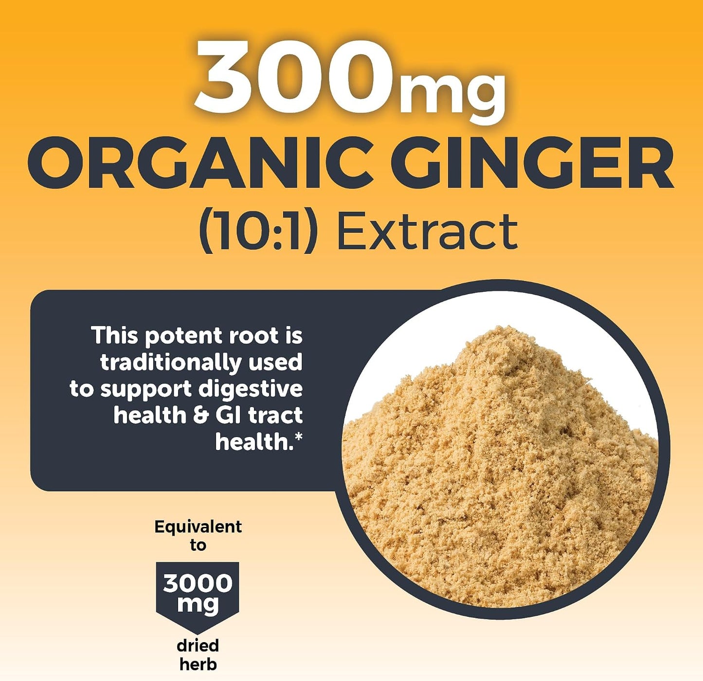 Viva Naturals Turmeric and Ginger Supplement with Black Pepper for Better Absorption - Organic Turmeric Curcumin to Support Joint, Heart and Digestive Health, Non-GMO - 120 Tablets
