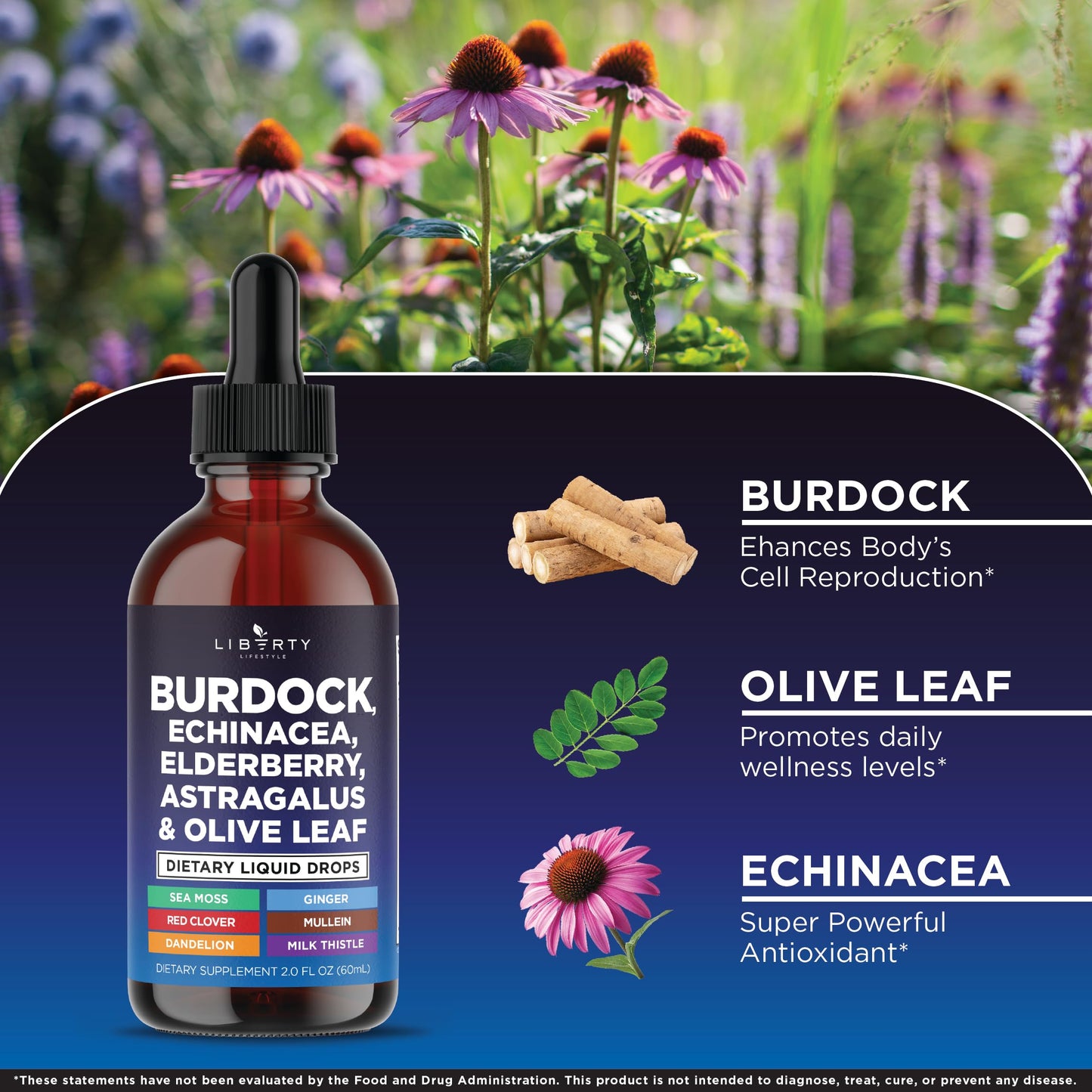 Liberty Lifestyle Lymphatic Drainage Supplement - Burdock Lymphatic Support Drops - Burdock Root, Mullein, Echinacea, Elderberry, Dandelion, Astragalus, Milk Thistle, Red Clover - 2 oz