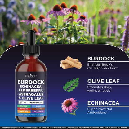 Liberty Lifestyle Lymphatic Drainage Supplement - Burdock Lymphatic Support Drops - Burdock Root, Mullein, Echinacea, Elderberry, Dandelion, Astragalus, Milk Thistle, Red Clover - 2 oz
