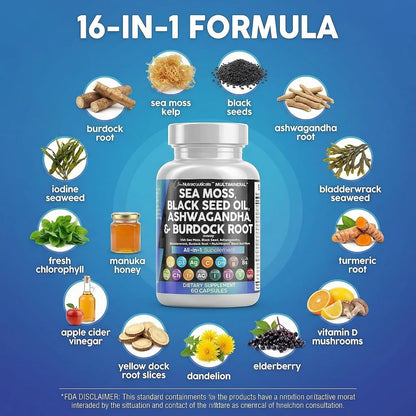 Clean Nutraceuticals Sea Moss Black Seed Oil Ashwagandha Turmeric Bladderwrack Burdock & Vitamin C Vitamin D3 with Elderberry Manuka Dandelion Yellow Dock Iodine Chlorophyll ACV