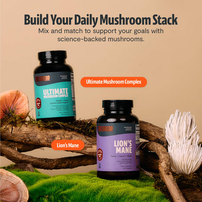 Premium Organic Mushroom Coffee – 12:1 Fruiting Body Extract – 29% Beta-Glucans – Smooth Tasting, 3rd-Party Tested for Clean Energy, No Jitters, Focus, Immune Support (15 Servings)