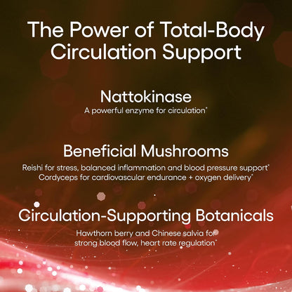 EcoNugenics Circutol: Heart & Blood Pressure Supplement with Nattokinase, L-Carnitine, Hawthorn Berry Extract, Cordyceps & Reishi Mushrooms – Healthy Blood Flow & Nitric Oxide Support – 60 Capsules