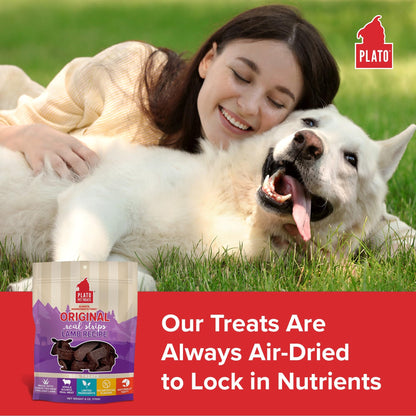 Plato Real Strips Salmon Recipe Dog Treats, Air-Dried High-Protein Soft Strips, Omega-Rich Skin & Coat Support, 18 oz