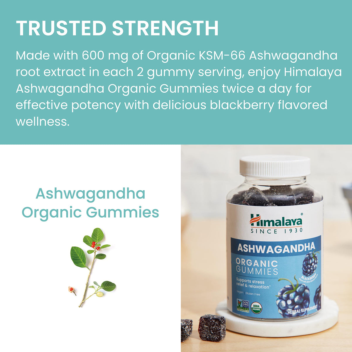 Himalaya USDA Organic Ashwagandha Root, 670 mg, 60 Day Supply, 60 Caplets