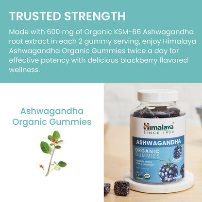 Himalaya USDA Organic Ashwagandha Root, 670 mg, 60 Day Supply, 60 Caplets