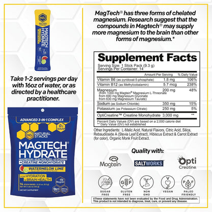 Natural Stacks Magtech Magnesium Hydrate Bundle - Magnesium & Creatine Hydration Powder - Supports Brain Health & Hydration - 3 Pack (42 Total Servings)