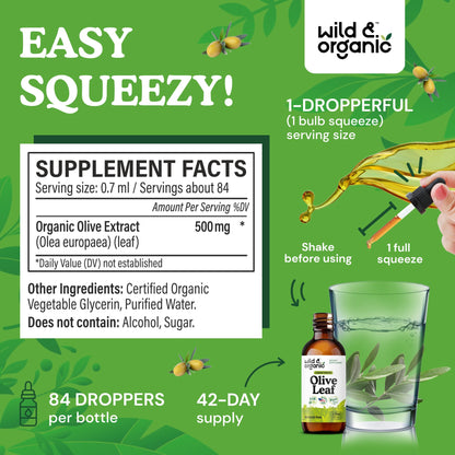 Wild & Organic Olive Leaf Extract Liquid Drops - Immune & Antioxidant Support - Oleuropein Supplement - Add to Tea Olive Leaf Tincture - Vegan, Sugar & Alcohol Free - 4 fl oz