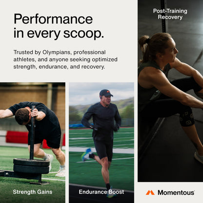 Momentous Creatine Monohydrate Powder - Creatine Powder - Supports Strength, Lean Muscle, & Recovery for Men & Women - NSF Certified for Sport - 5 g per Serving - 90 Servings