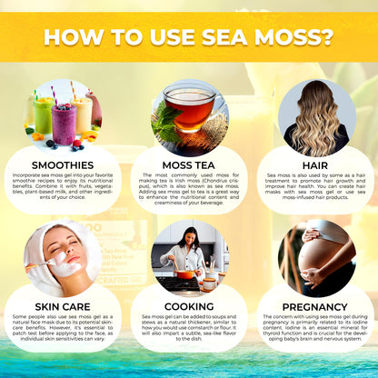 WELLNESS LABSRX Irish Sea Moss Gel Raw - Wildcrafted Superfood Seamoss Gel - Pineapple Mango Flavor, Vitamin and Mineral-Rich from Pristine Caribbean Waters - 10 oz.