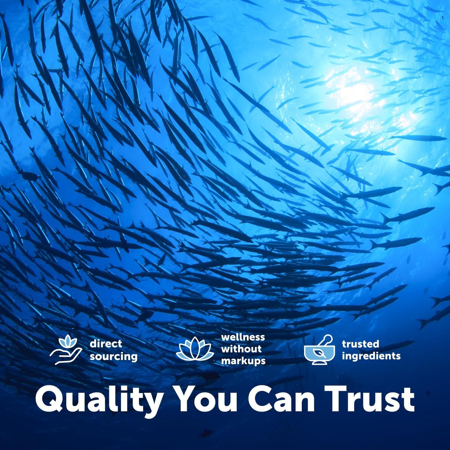 Micro Ingredients Extra Strength* Omega-3 Fish Oil Supplements 1,000mg Per Serving, 300 Softgels | Lemon Flavored | Burpless | EPA 180mg + DHA 120mg | Deep Sea Fish