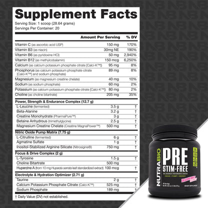 NutraBio PRE Stim Free - Caffeine Free Pre Workout Powder - Sustained Energy, Mental