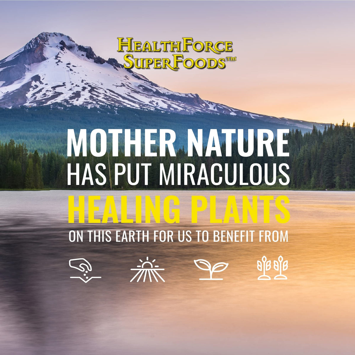 HEALTHFORCE SUPERFOODS Vitamineral Green - Mineral Supplement for Immune