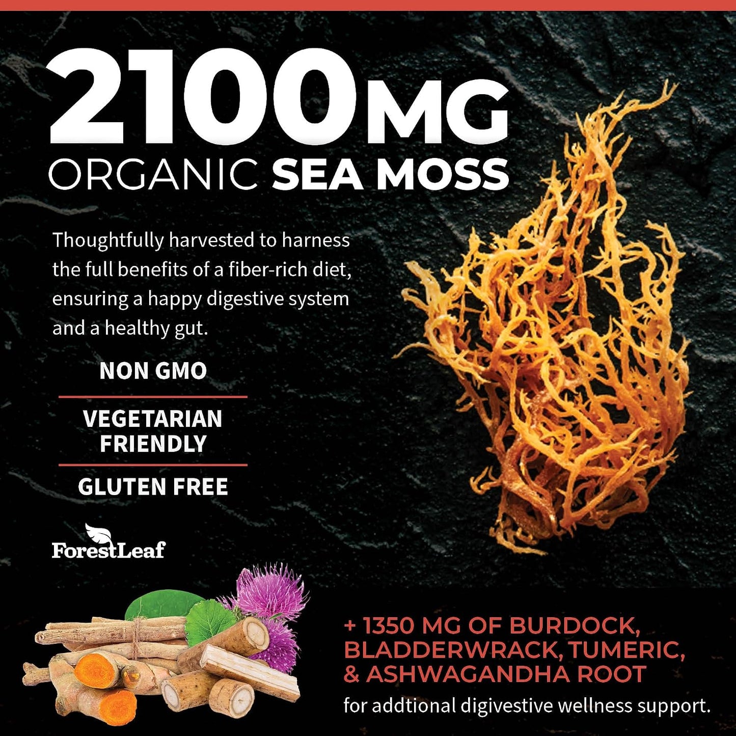 ForestLeaf Organic Irish Sea Moss Capsules | 2100mg Raw Seamoss Pills Advanced Supplement Superfood + Burdock, Bladderwrack for Digestive, Respiratory, Immune Health | 90 Vegan Organic Sea Moss Caps