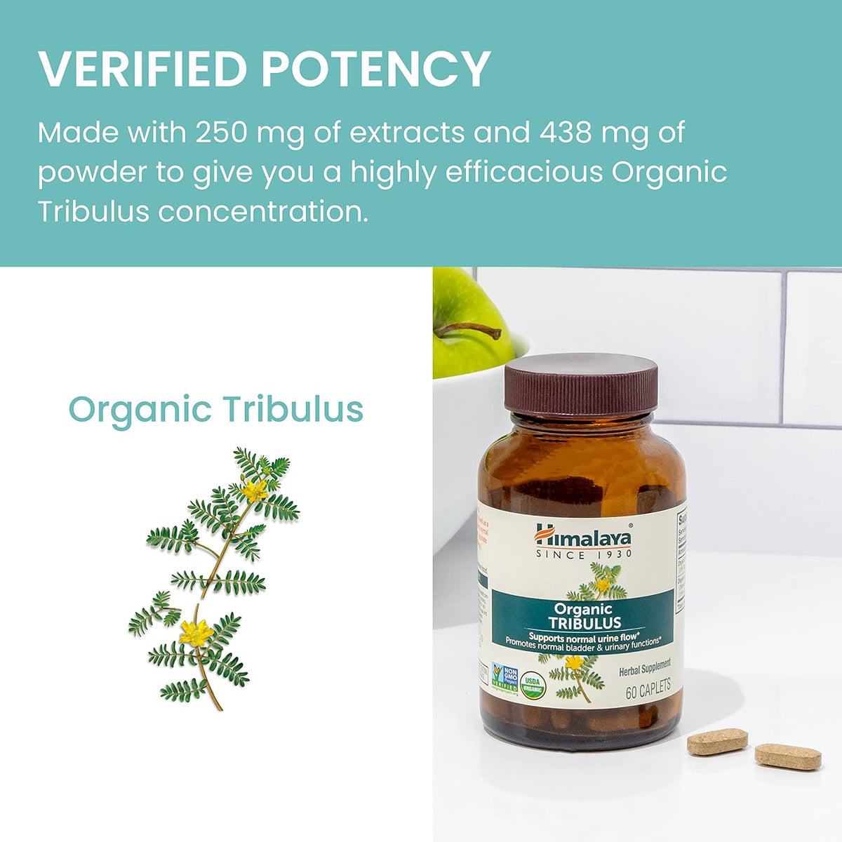 Himalaya Organic Tribulus Terrestris - Herbal Supplement for Bladder Control, Male Endurance, Prostate, and Libido Support - Vegan, Non-GMO, Gluten Free, 688 mg, 60 Caplets