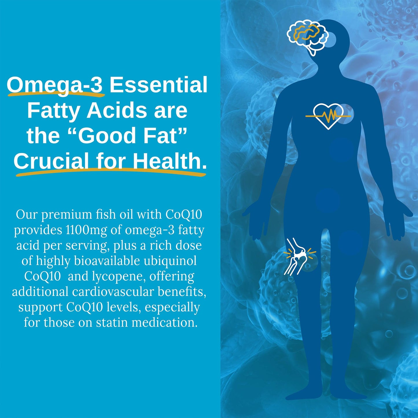 Xtendlife Omega 3 QH Fish Oil + CoQ10 for Heart, Brain, Joint & Skin-1100mg Omega - 3 with DHA, EPA, Ubiquinol, Astaxanthin & Lycopene - 1 Month Supply (60 Count)