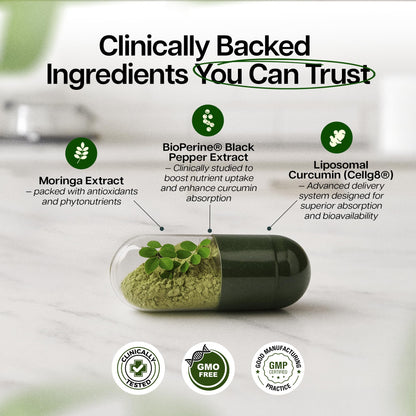 Benevolent Moringa Capsules with Liposomal Curcumin & BioPerine® – High-Potency Moringa Supplement for Antioxidant Support, Immune Resilience, Breastfeeding Support & Nutrient Absorption – 180 Count