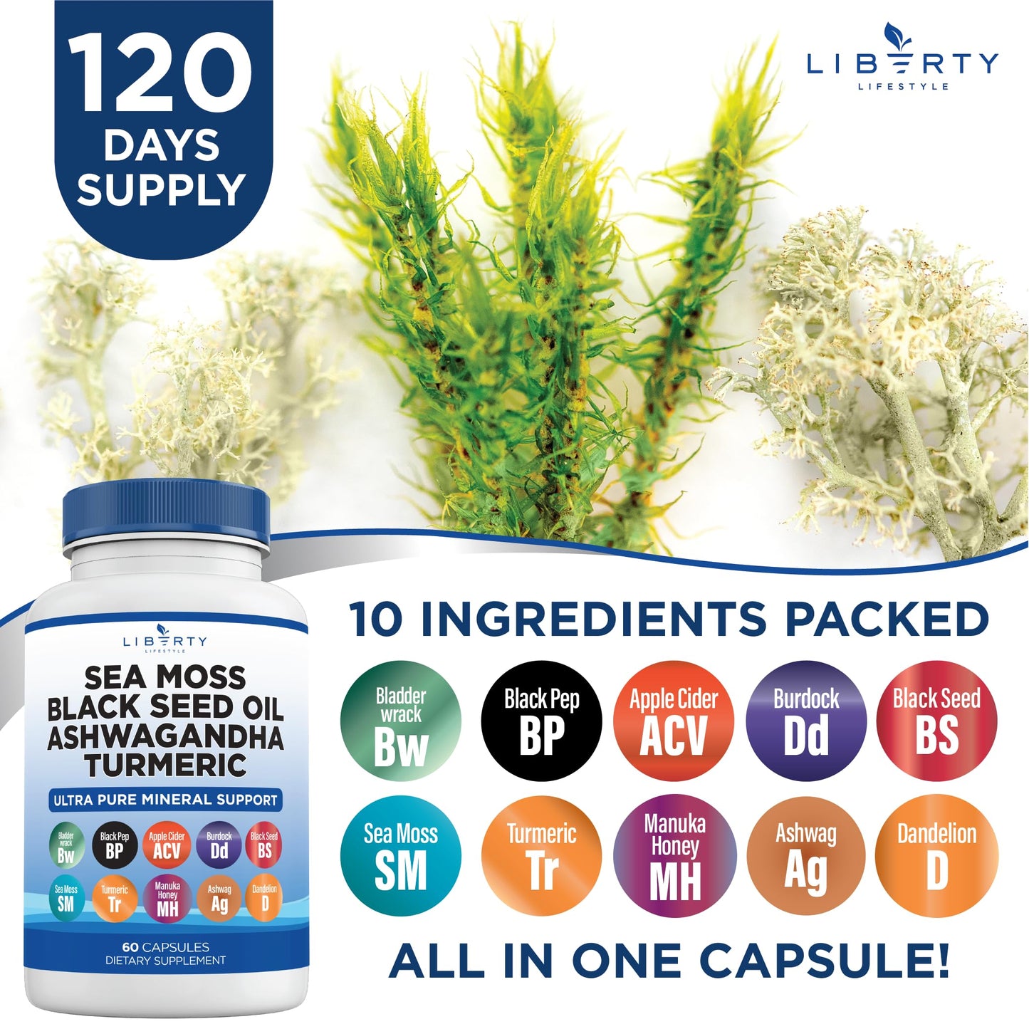 Liberty Lifestyle Sea Moss Black Seed Oil Ashwagandha Turmeric Bladderwrack Burdock - with Manuka, Honey Dandelion, ACV Black Pepper Gluten Free - 2-Pack