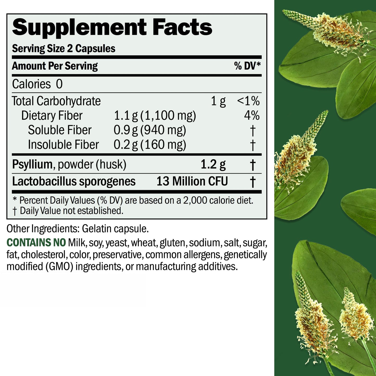 Andrew Lessman ProCaps Fibermucil Psyllium Husk Fiber 180 Capsules | Psyllium Husk Powder with Soluble & Insoluble Fiber plus Lactobacillus Sporogenes. No additives. Easy-to-swallow capsules.