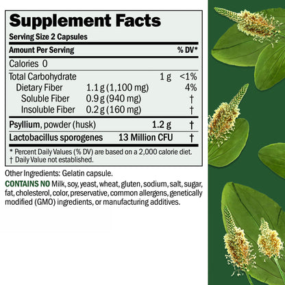 Andrew Lessman ProCaps Fibermucil Psyllium Husk Fiber 180 Capsules | Psyllium Husk Powder with Soluble & Insoluble Fiber plus Lactobacillus Sporogenes. No additives. Easy-to-swallow capsules.